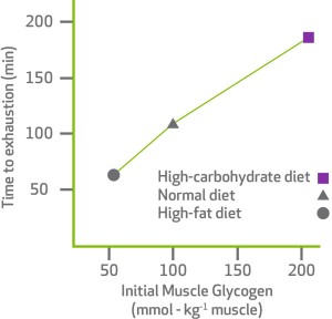 glycogen-vs-time-to-exhaustion-graph