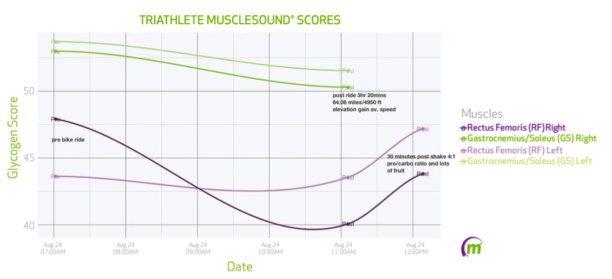 Muscle Recovery Time Chart