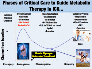 Figure 5 - Phases of Critical Care and Metabolic Therapy in ICU. BCAA-Branch Chain Amino Acids. Dysfx-Dysfunction. GH-Growth Hormone. GLN-Glutamine. TPN-Total Parenteral Nutrition