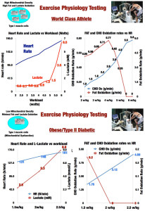 Figure 6 - Exercise Physiology Testing in World Class Athlete. b: Exercise Physiology Testing in Obesity/Type 2 Diabetes. CHO-Carbohydrate. HR-Heart Rate.