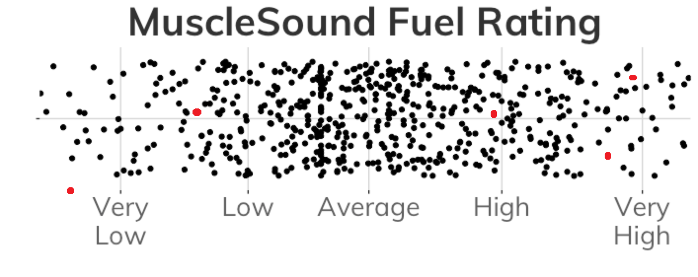 musclesound fuel rating